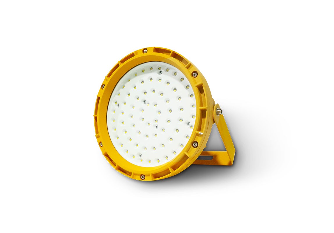 防爆款-應急照明燈具  |  ZS-ZLJC-E10W-J324/30LX